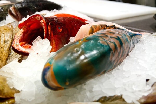 How can sustainable seafood choices help preserve marine ecosystems and livelihoods?